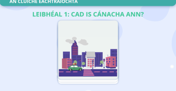 Bleachtairí Cánach: Ar lorg rian an airgid